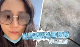 韩雪爆料贾冰视频,揭秘娱乐圈幕后风云