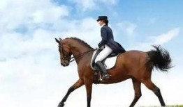 四川马小姐最新爆料,揭秘事件背后惊人真相